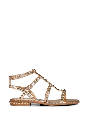 Ash stud-embellished gladiator sandals - Metallic