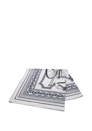 Hermès Pre-Owned 2000s Les Roues de Phaeton scarf - Grey