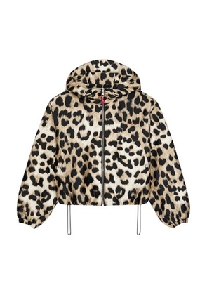 Hooded windbreaker