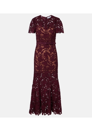 Self-Portrait Belted floral guipure lace midi dress