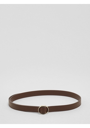 ORCIANI Belt Woman color Brown