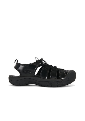 KEEN Newport Hl-M in Perseid Black - Black. Size 9.5 (also in 8.5, 9, 10, 11, 12).