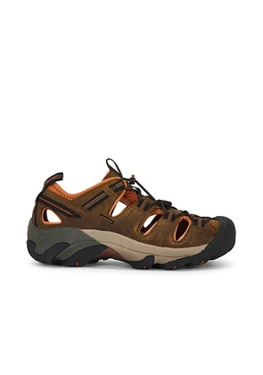 KEEN Arroyo Ii-M in Black Olive & Bombay Brown - Brown. Size 8 (also in 8.5, 9, 9.5, 10, 10.5, 11, 12, 13).