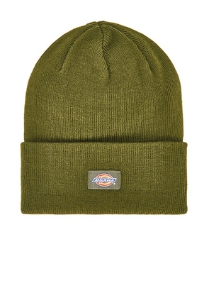 Dickies Tall Cuff Beanie in Cypress - Green. Size all.