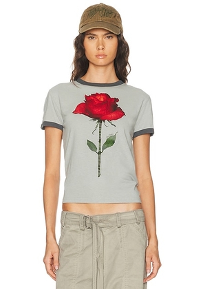 Acne Studios Etza Rose T-Shirt in Grey & Red - Grey. Size M (also in XS, S, L).