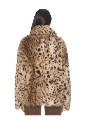Aniye By Roxette Faux Fur Jacket in Brown. Size M. Also in XXS, XS, S, L.