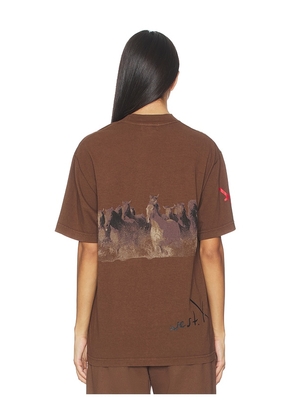 Darlin Wild Horse Tee in Brown. Size M. Also in XS, S, L.