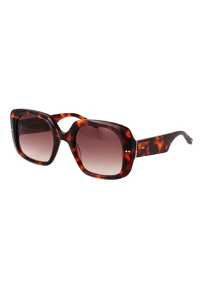 Ted Baker Brown Acetate Sunglasses
