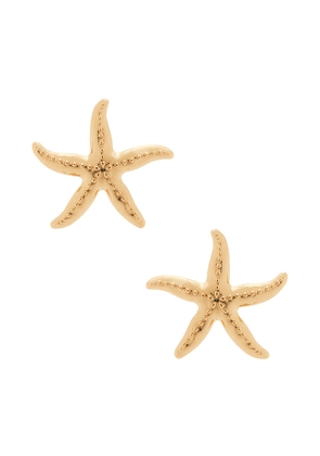 BaubleBar Starfish Earrings in Metallic Gold.
