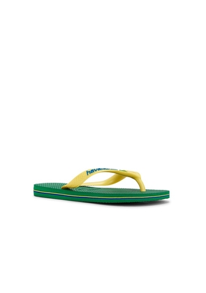 Havaianas Brasil Logo Sandal in Green. Size 35/36. Also in 37/38, 39/40.