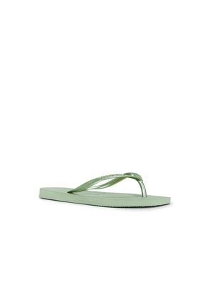 Havaianas Slim Square Sandal in Green. Size 35/36. Also in 37/38, 39/40, 41/42.