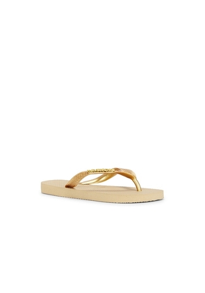 Havaianas Top Logo Metallic Sandal in Metallic Gold. Size 35/36. Also in 37/38, 39/40, 41/42.