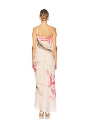 Musier Paris Avina Dress in Pink. Size 42/10. Also in 34/2.