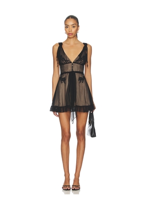 Mirror Palais Nightcap Mini Dress in Black. Size L. Also in M, S, XS.