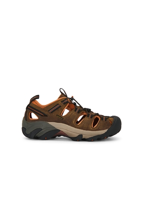 KEEN Arroyo Ii-M in Brown. Size 10. Also in 8, 8.5, 9, 9.5, 10.5, 11, 12, 13.