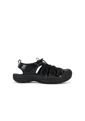 KEEN Newport Hl-M in Black. Size 10. Also in 8.5, 9, 9.5, 11, 12.