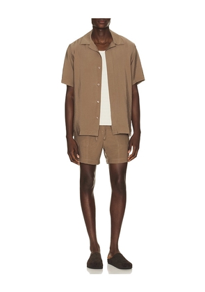 NN07 Ryder Shorts 5971 in Brown. Size S. Also in XXL/2X.