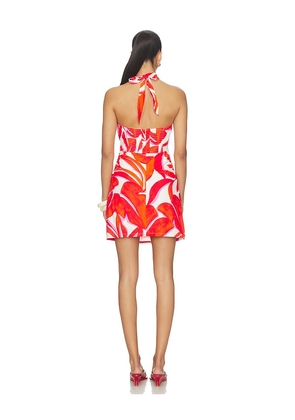 MINKPINK Ravelo Halter Mini Dress in Red. Size L. Also in S, XS, M, XL.