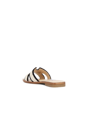 Steve Madden Hadyn-m Sandal in Cream. Size 10. Also in 6, 6.5, 7, 7.5, 8, 8.5, 9, 9.5.