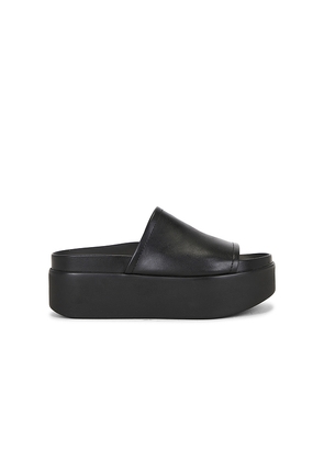 Steve Madden Arwen Sandal in Black. Size 10. Also in 6, 6.5, 7, 7.5, 8, 8.5, 9, 9.5.