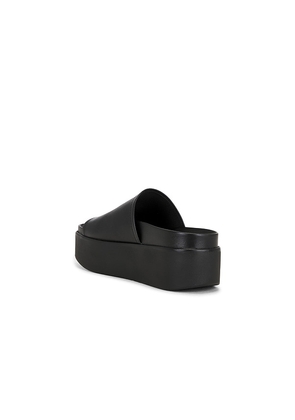 Steve Madden Arwen Sandal in Black. Size 10. Also in 6, 6.5, 7, 7.5, 8, 8.5, 9, 9.5.