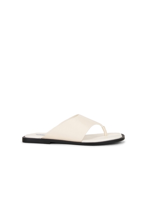 Steve Madden Illia Sandal in Ivory. Size 10. Also in 6, 6.5, 7, 7.5, 8, 8.5, 9, 9.5.