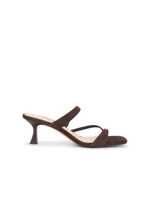 Steve Madden Ajay Sandal in Chocolate. Size 10. Also in 6, 6.5, 7, 7.5, 8, 8.5, 9.