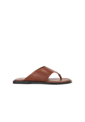 Steve Madden Illia Sandal in Cognac. Size 10. Also in 6, 6.5, 7, 7.5, 8, 8.5, 9, 9.5.