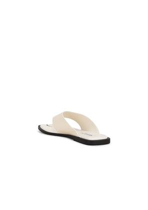 Steve Madden Illia Sandal in Ivory. Size 10. Also in 6, 6.5, 7, 7.5, 8, 8.5, 9, 9.5.