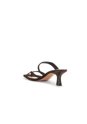 Steve Madden Ajay Sandal in Chocolate. Size 10. Also in 6, 6.5, 7, 7.5, 8, 8.5, 9.