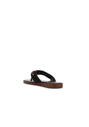 Seychelles Top Of The World Sandal in Black. Size 10. Also in 6, 6.5, 7, 7.5, 8, 8.5, 9, 9.5.
