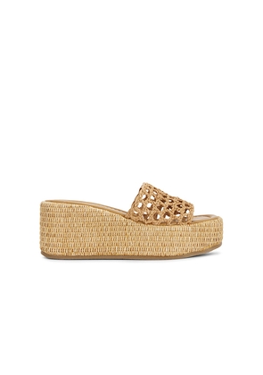 Steve Madden Brandy Sandal in Neutral. Size 10. Also in 6, 6.5, 7, 7.5, 8, 8.5, 9, 9.5.