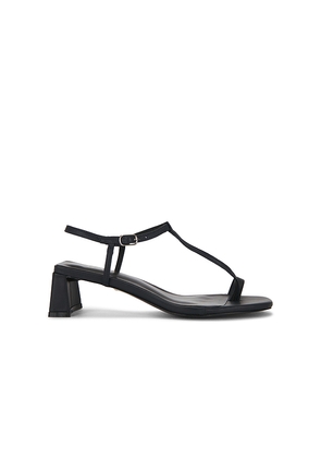 RAYE Noa Sandal in Navy. Size 10. Also in 5.5, 6, 6.5, 7, 7.5, 8, 8.5, 9, 9.5.