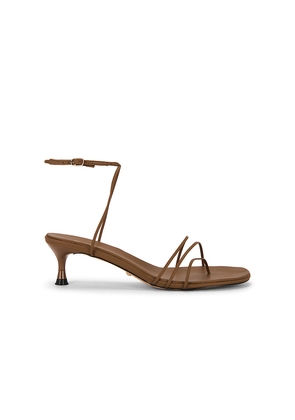 RAYE Jara Sandal in Brown. Size 10. Also in 5.5, 6, 6.5, 7, 7.5, 8, 8.5, 9, 9.5.