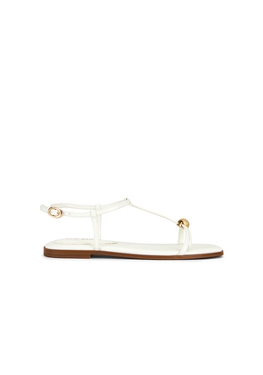 Steve Madden Ritzy Sandal in White. Size 10. Also in 11, 5.5, 6, 6.5, 7, 7.5, 8, 8.5, 9, 9.5.