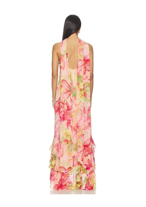 ROCOCO SAND Cowl Maxi Dress With Sash Pink in Pink. Size L. Also in S, XXS, XS, M, XXL.