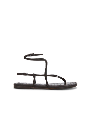 Sam Edelman Clarra Sandal in Chocolate. Size 10. Also in 6, 6.5, 7, 7.5, 8, 8.5, 9, 9.5.