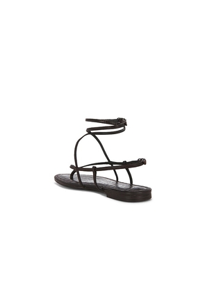 Sam Edelman Clarra Sandal in Chocolate. Size 10. Also in 6, 6.5, 7, 7.5, 8, 8.5, 9, 9.5.