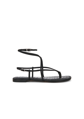 Sam Edelman Clarra Sandal in Black. Size 10. Also in 6, 6.5, 7, 7.5, 8, 8.5, 9, 9.5.