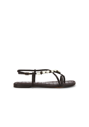 Sam Edelman Calla 2 Sandal in Brown. Size 10. Also in 6, 6.5, 7, 7.5, 8, 8.5, 9, 9.5.