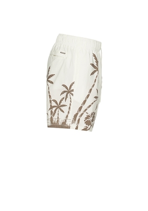 Vintage Summer Poolside Stretch Shorts in Ivory. Size S. Also in XL/1X.