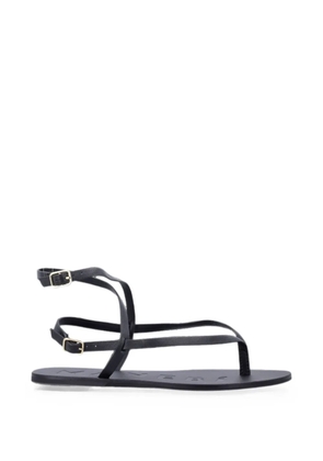Manebi buckle-fastening leather sandals - Black