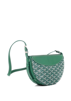 Goyard Pre-Owned Hirondelle Coated Canvas and Leather shoulder bag - Green