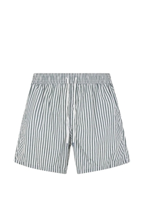Fedeli striped drawstring swim shorts - Green