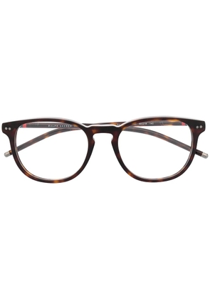 POLO RALPH LAUREN EYEWEAR thin tortoiseshell round glasses - Brown
