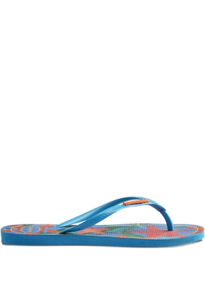Havaianas starfish-print flip-flops - Blue