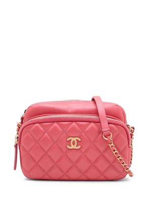 CHANEL Pre-Owned 2019 Quilted Lambskin Day Trips Camera Bag crossbody bag - Pink