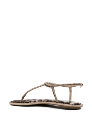 René Caovilla crystal-embellished leopard-print sandals - Neutrals