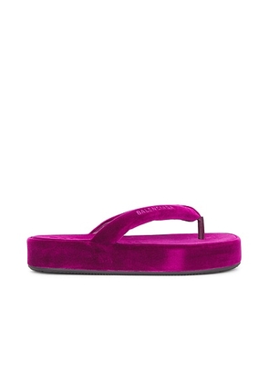 Balenciaga Jet Lag Thong Sandal in Purple - Purple. Size 40 (also in ).