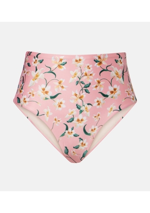 Agua by Agua Bendita Magenta floral bikini bottoms